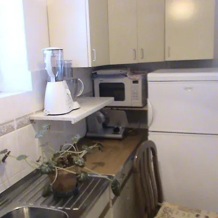 Ivy Apartment